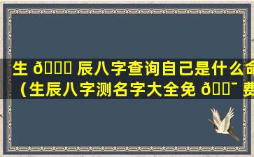 生 🐞 辰八字查询自己是什么命（生辰八字测名字大全免 🐯 费查询）